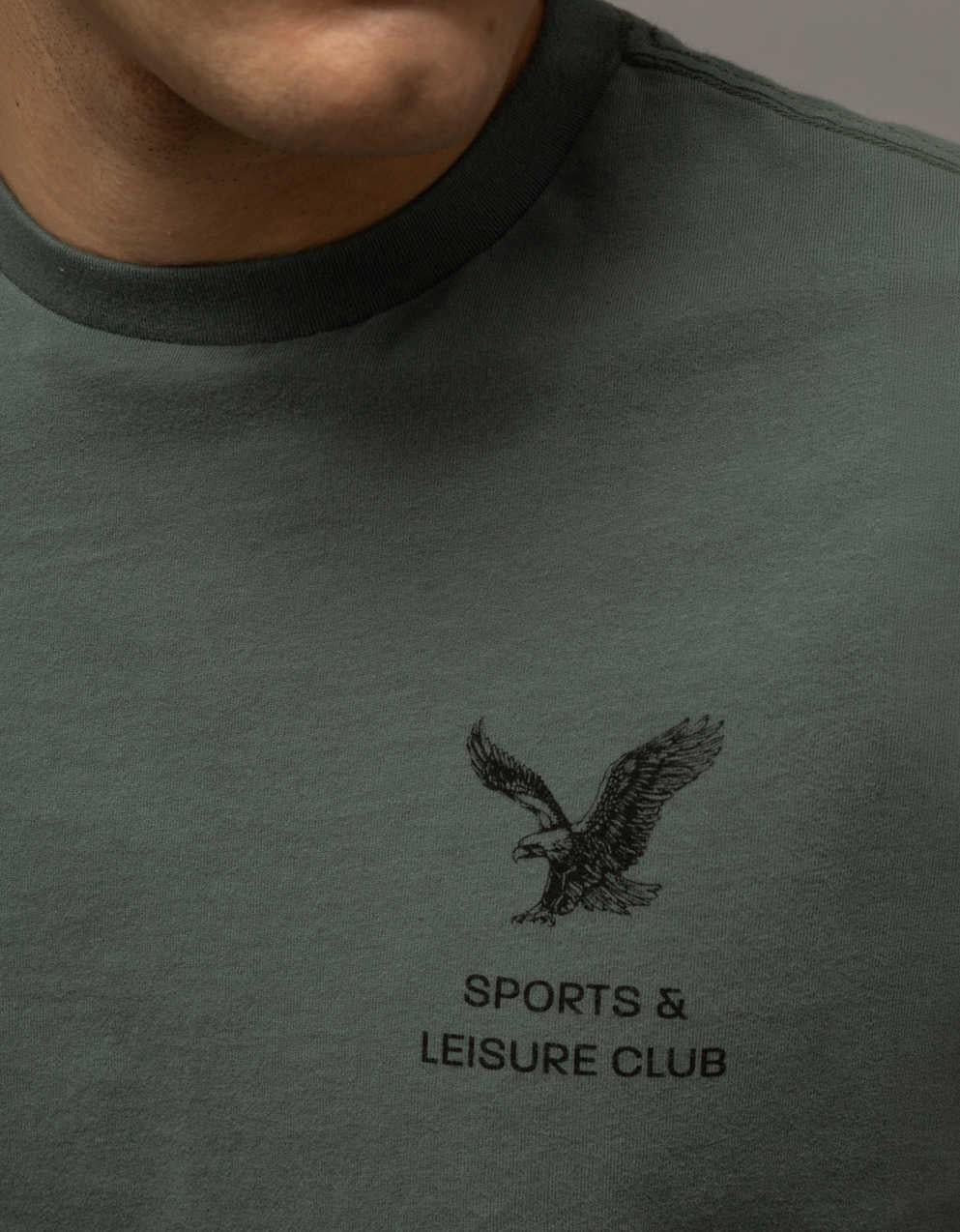 AE Standard Fit Graphic T-Shirt