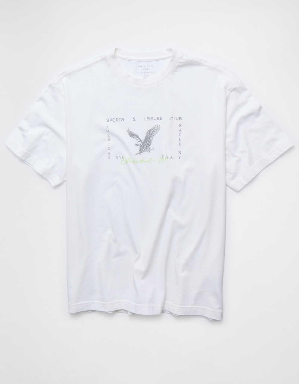 AE Standard Fit Graphic T-Shirt