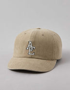 AEO Fitted Baseball Hat