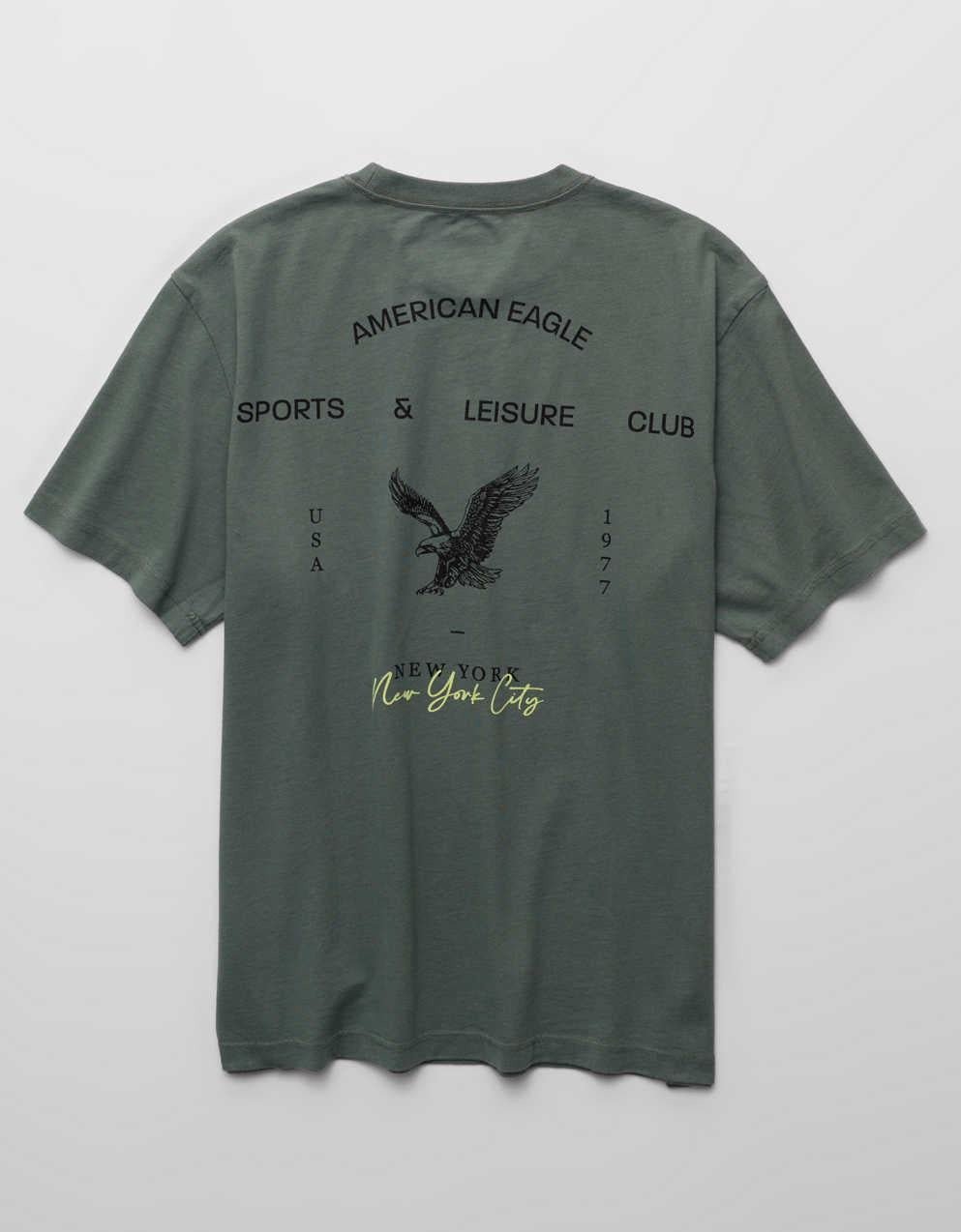 AE Standard Fit Graphic T-Shirt
