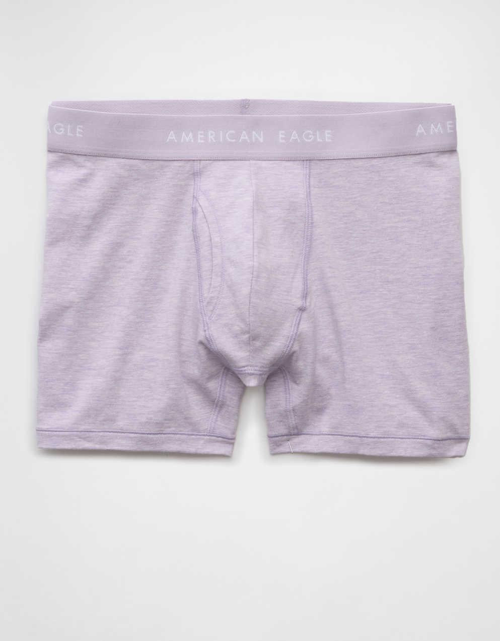 AEO Men's 4.5" Classic Boxer Brief