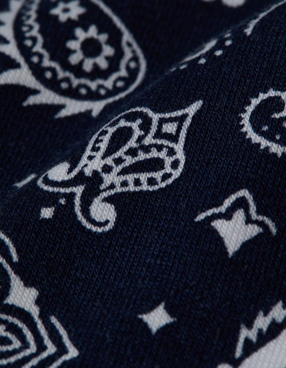 AEO Men's Paisley 4.5" Ultra Soft Boxer Brief