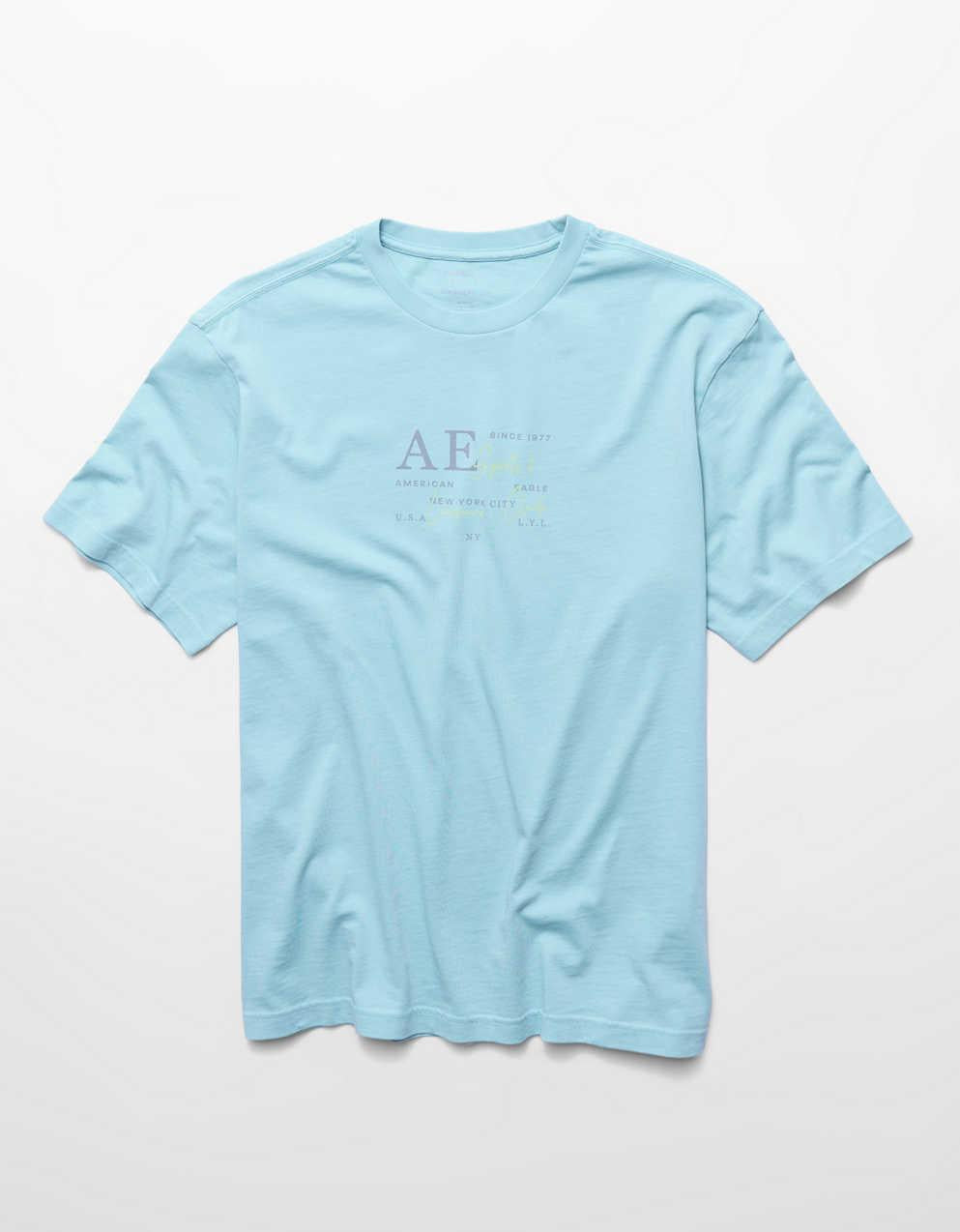 AE Standard Fit Graphic T-Shirt