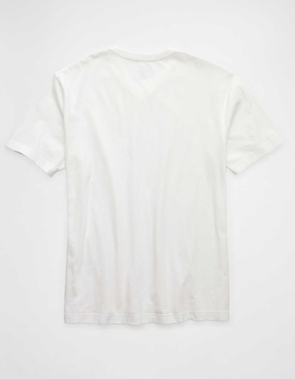 AE Standard Fit Lived-In V-Neck T-Shirt