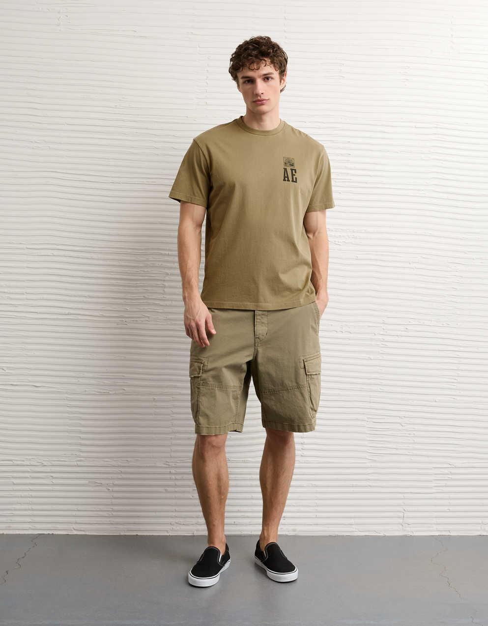 AE Standard Fit Graphic Logo T-Shirt