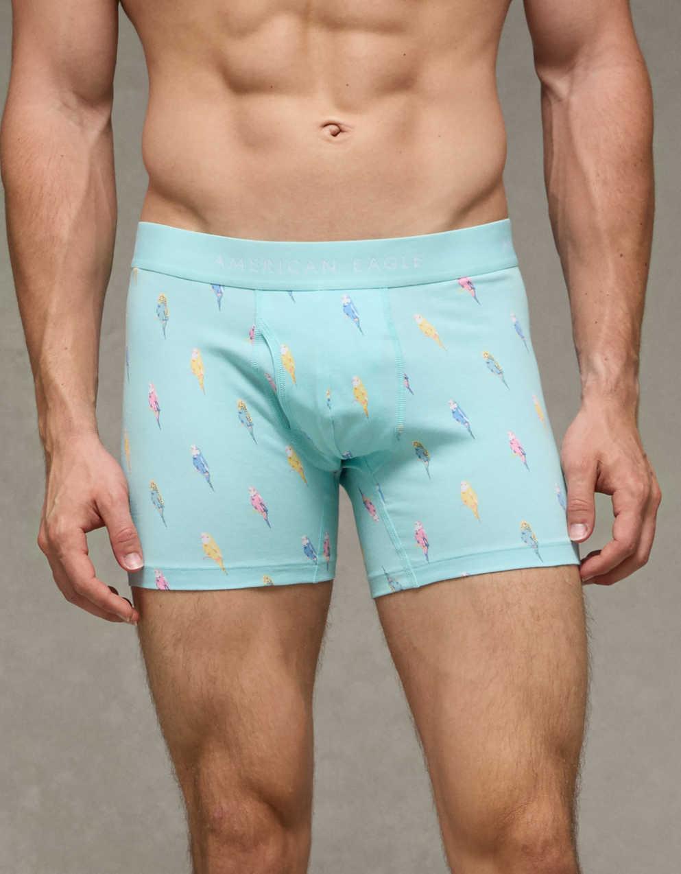 AEO Men's 4.5" Classic Cotton Boxer Brief