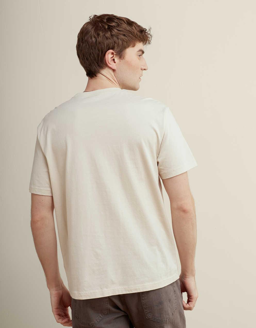 AE Standard Fit Applique Graphic T-Shirt