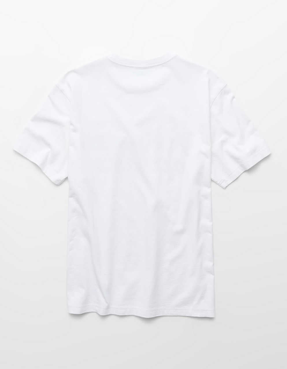 AE Standard Fit Graphic T-Shirt
