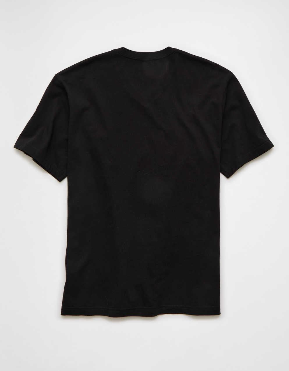 AE Standard Fit Lived-In V-Neck T-Shirt