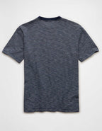 AE Standard Fit Lived-In T-Shirt