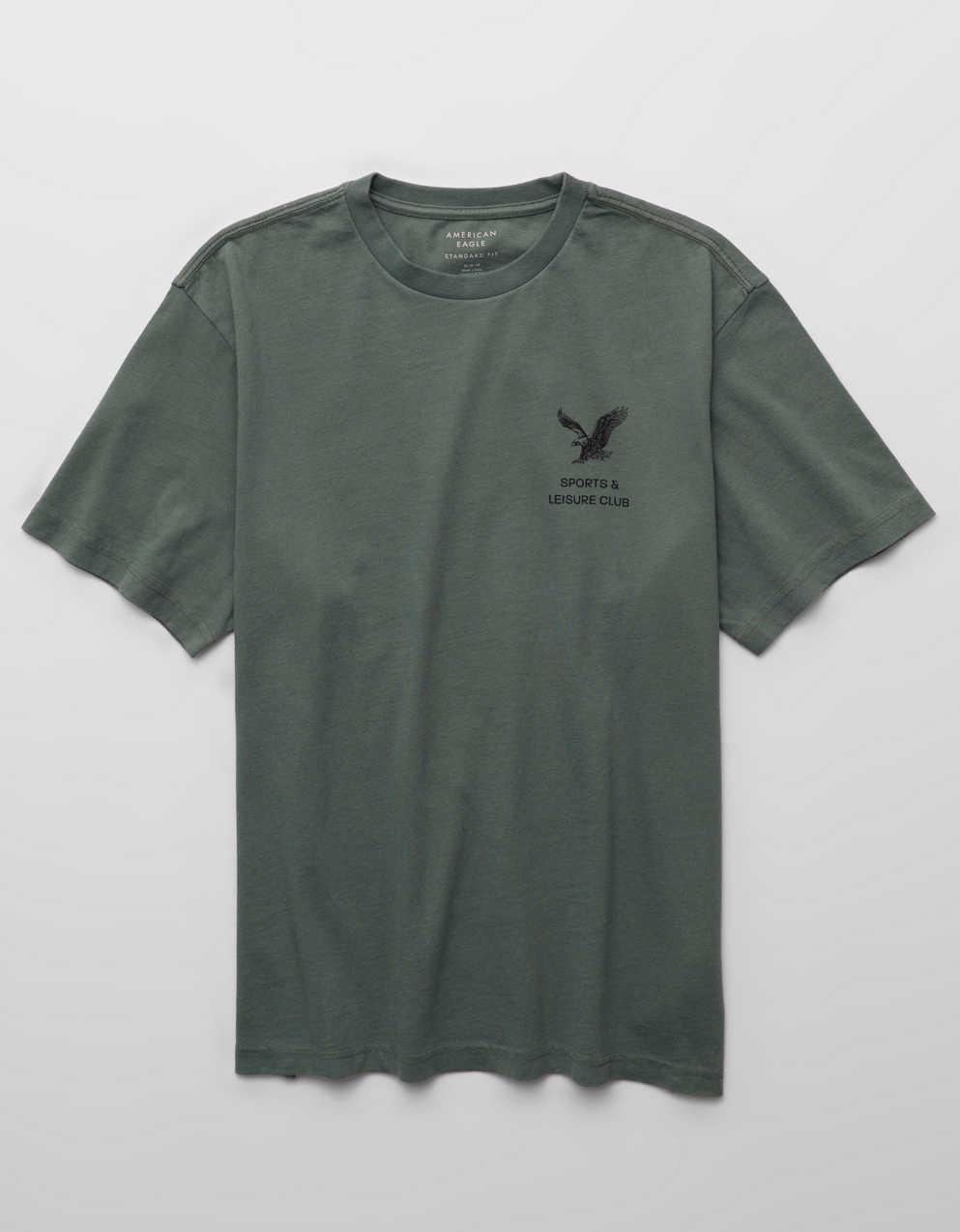 AE Standard Fit Graphic T-Shirt