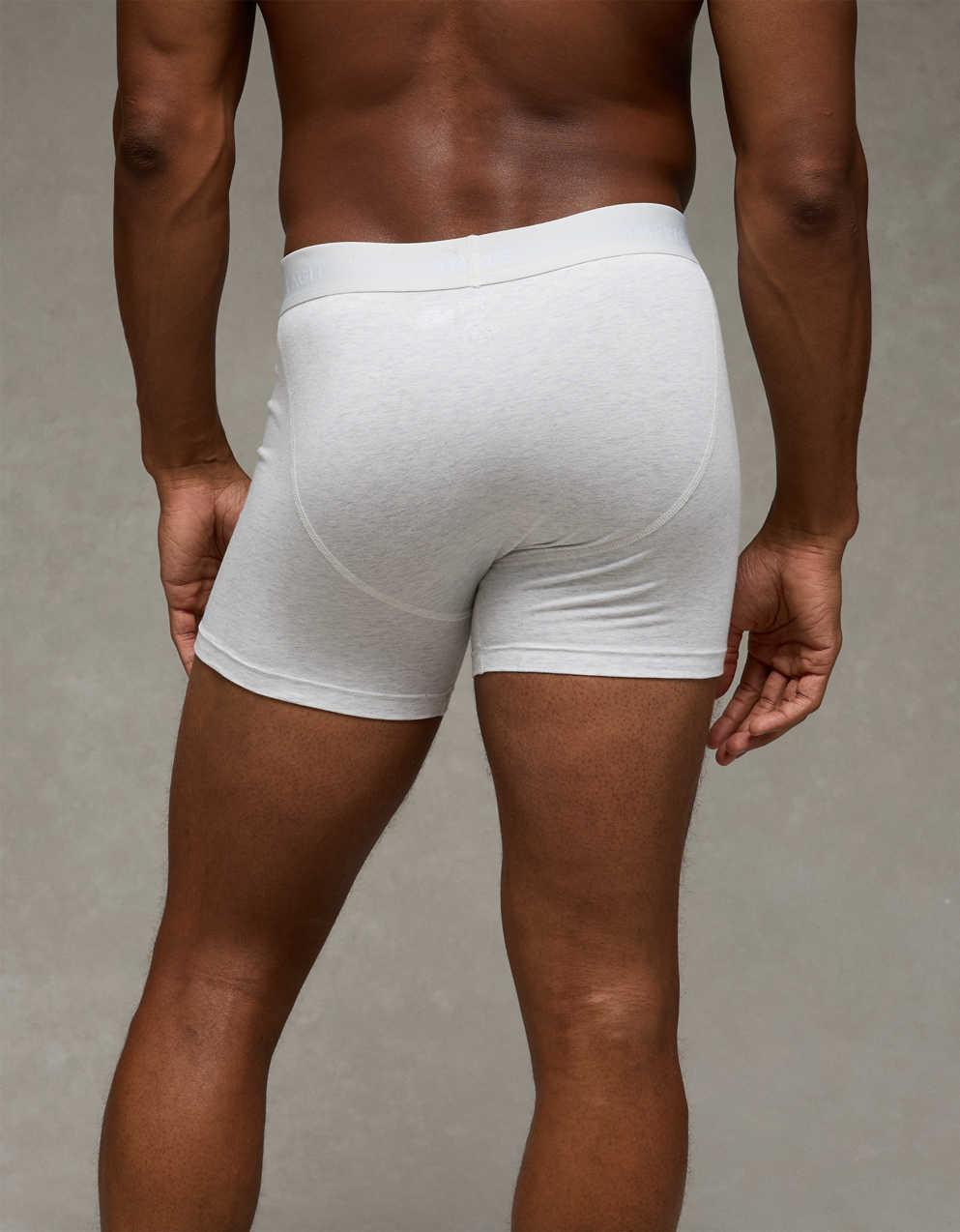 AEO Men's 4.5" Classic Cotton Boxer Brief