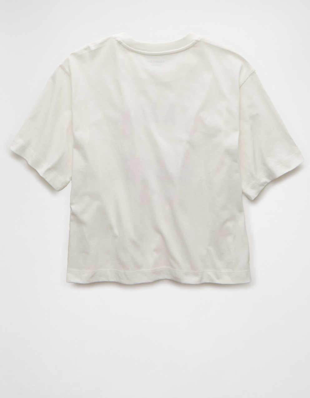 AE Boxy Destination Graphic T-Shirt