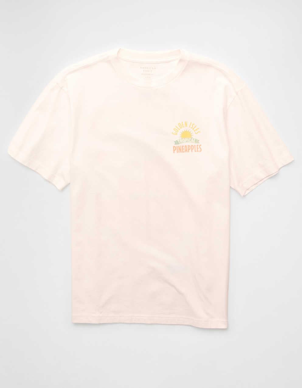 AE Standard Fit Destination Graphic T-Shirt