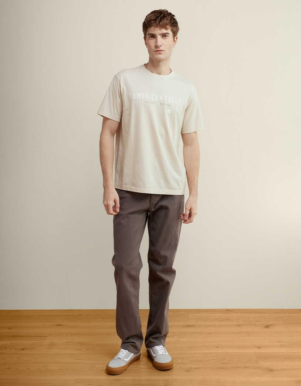 AE Standard Fit Applique Graphic T-Shirt
