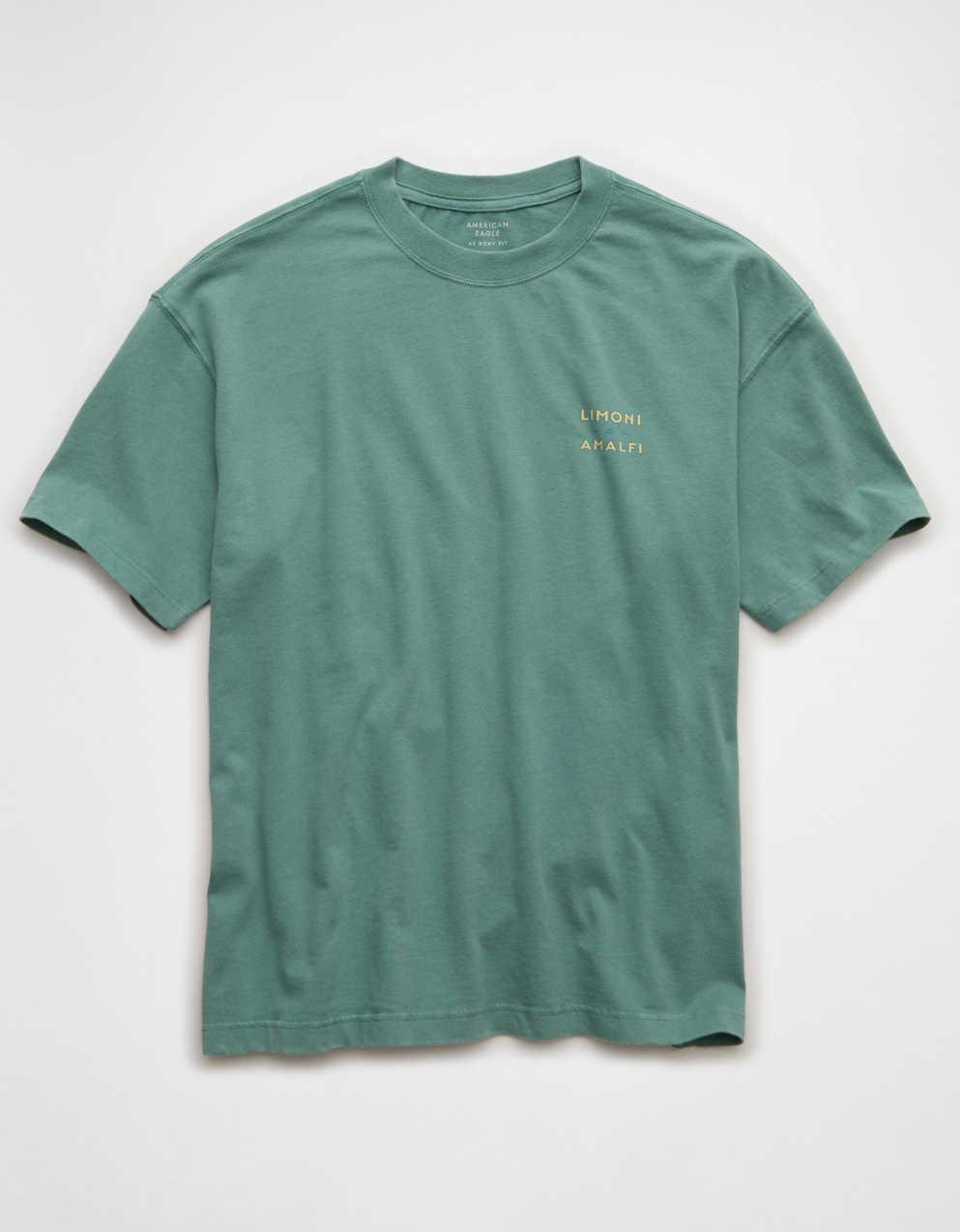 AE Boxy Destination Graphic T-Shirt