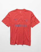 AE Standard Fit Graphic Logo T-Shirt