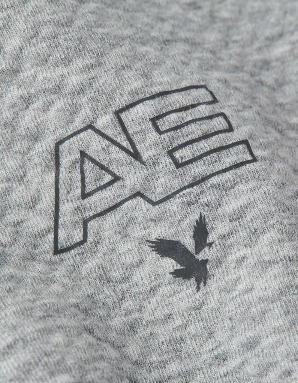 AE 24/7 Textured Fleece Hoodie