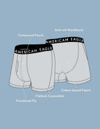 AEO Men's Lemons 4.5" Classic Boxer Brief