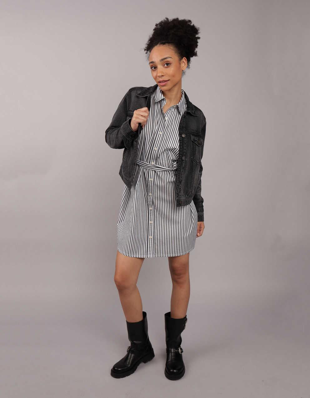 AE Strigid Classic Denim Jacket