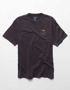 AE Standard Fit Graphic T-Shirt