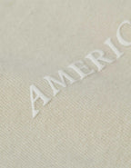 AE Laidback Luxe Heavyweight Oversized Logo Graphic T-Shirt