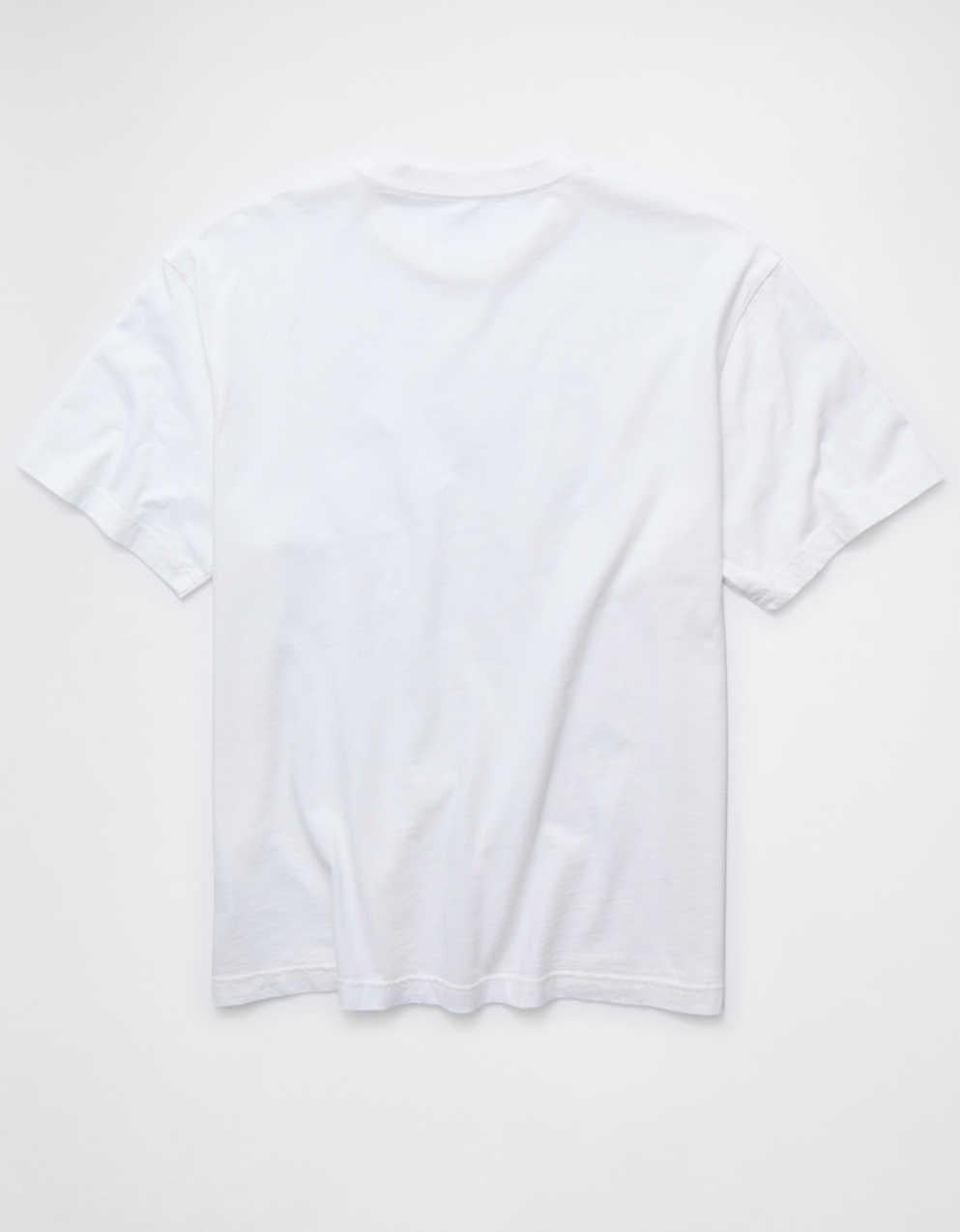 AE Standard Fit Graphic T-Shirt