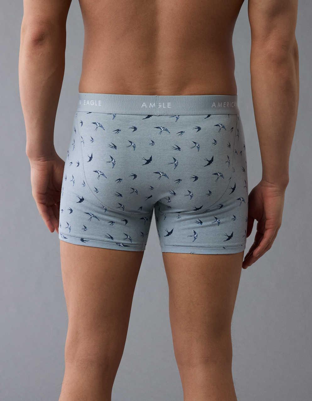 AEO Men's Sparrows 4.5" Classic Boxer Brief