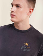 AE Standard Fit Graphic T-Shirt