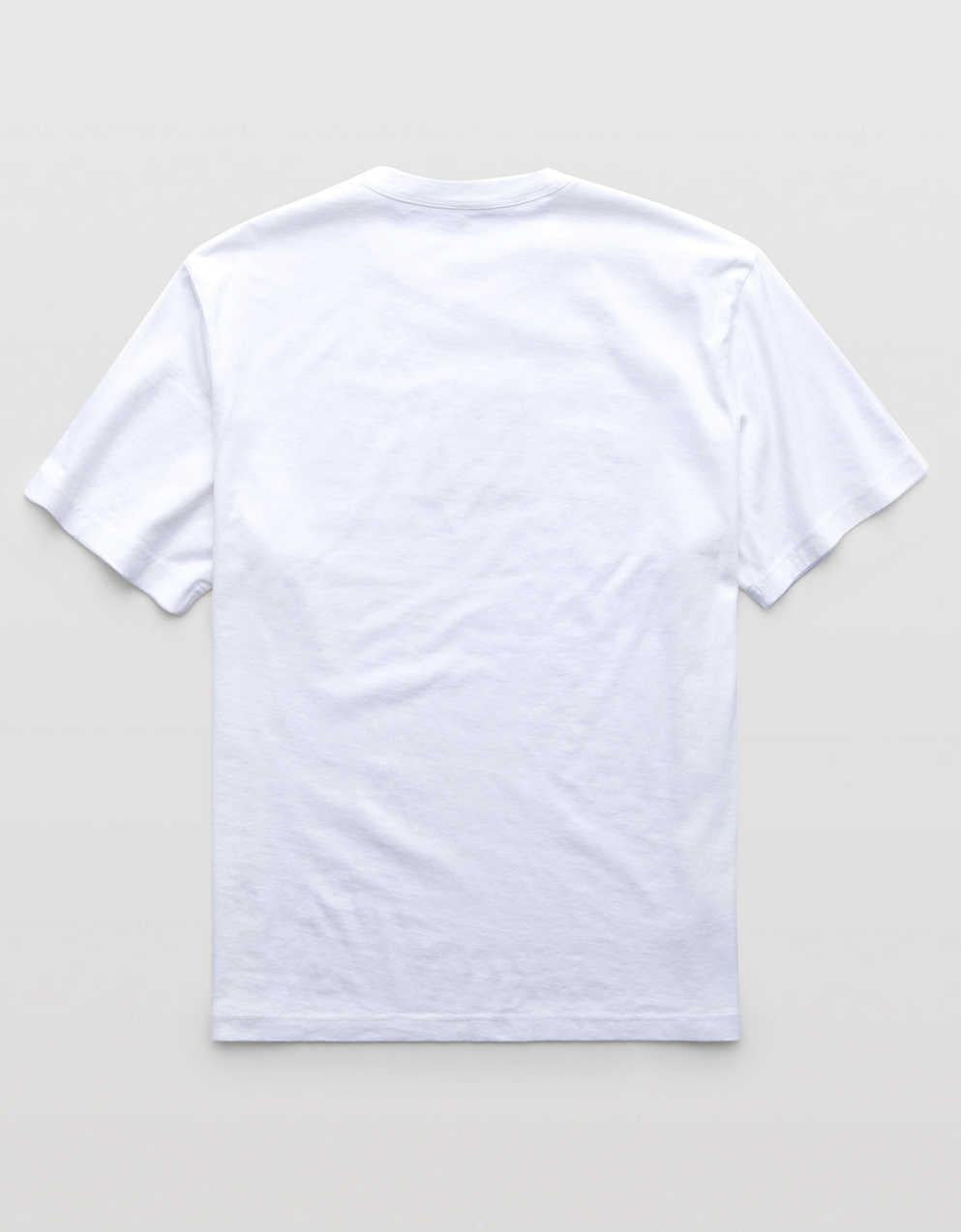 AE Standard Fit Logo Graphic T-Shirt