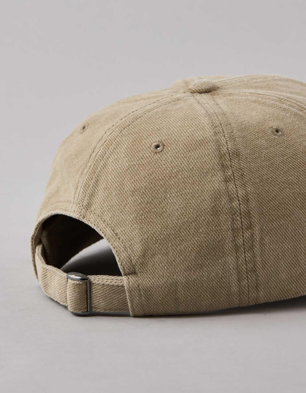 AEO Fitted Baseball Hat