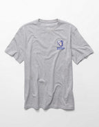 AE Standard Fit Graphic T-Shirt