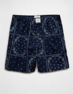 AEO Men's Paisley Stretch Boxer Short