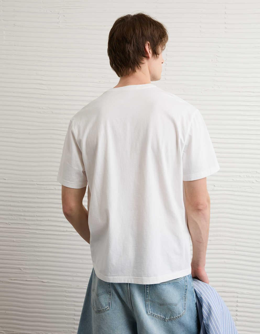 AE Standard Fit Lived-In V-Neck T-Shirt