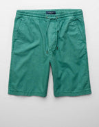 AE 10" Lived-In Trekker Short