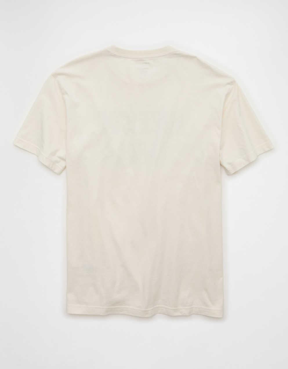 AE Standard Fit Graphic Logo T-Shirt
