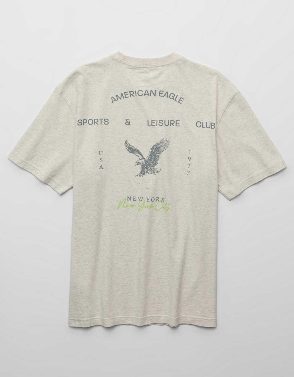AE Standard Fit Graphic T-Shirt