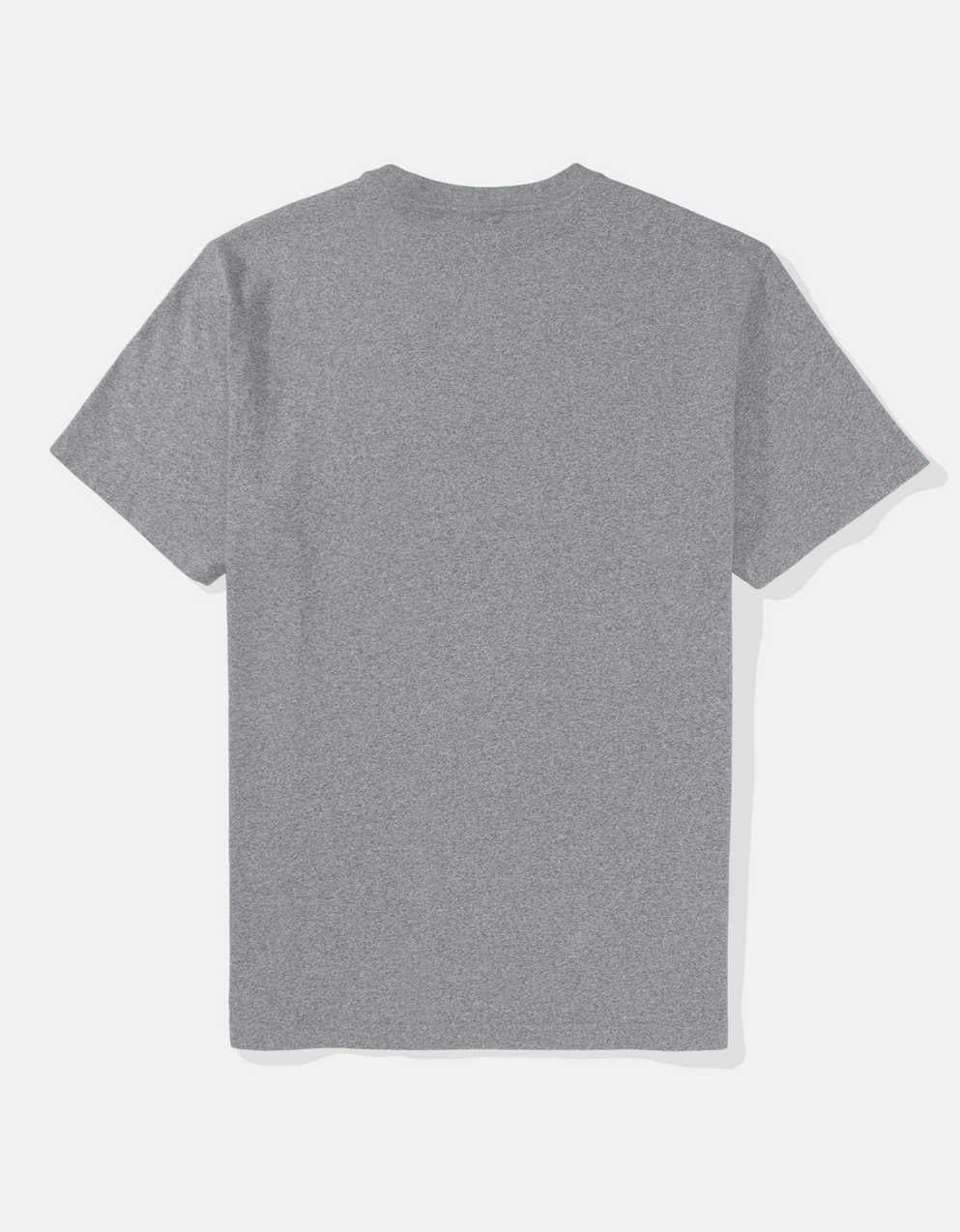 AE Lived-In T-Shirt
