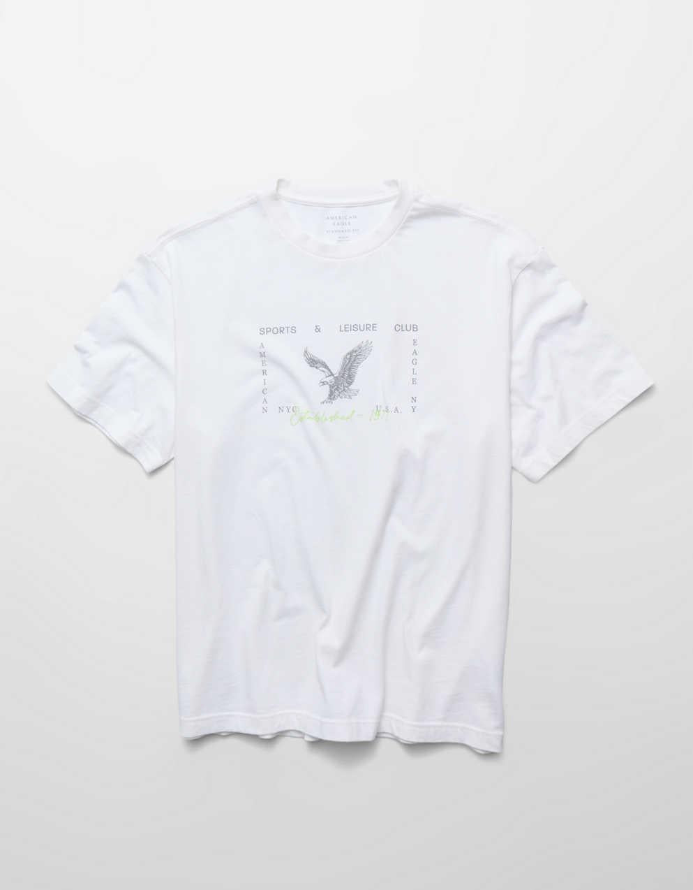 AE Standard Fit Graphic T-Shirt