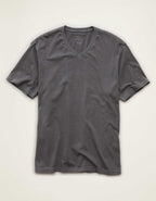 AE Standard Fit Lived-In V-Neck T-Shirt