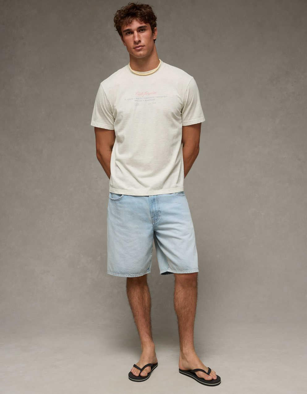 AE Standard Fit Destination Graphic T-Shirt