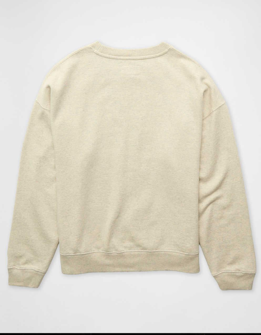 AE Velvet Graphic Crew Neck Sweatshirt