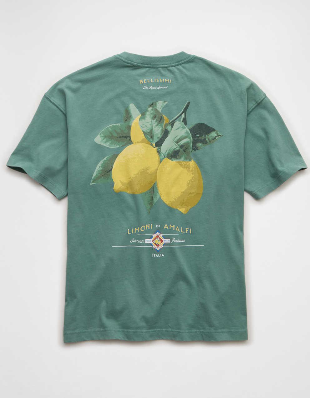 AE Boxy Fit Destination Graphic T-Shirt