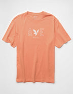 AE Standard Fit Lightweight Logo Graphic T-Shirt